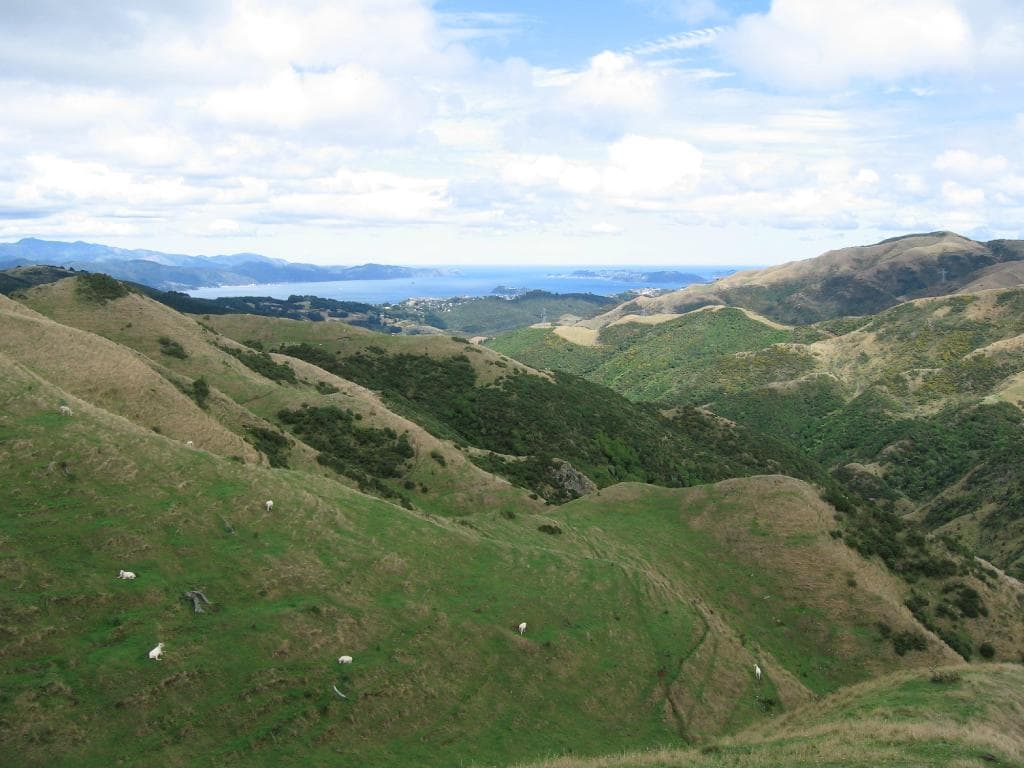 Belmont Regional Park