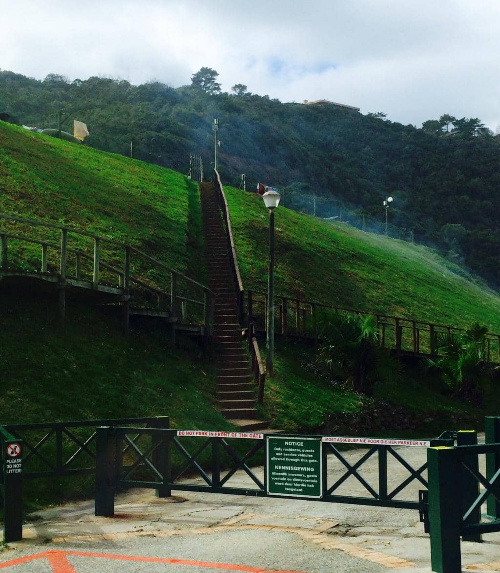 Scenic Coastal Views