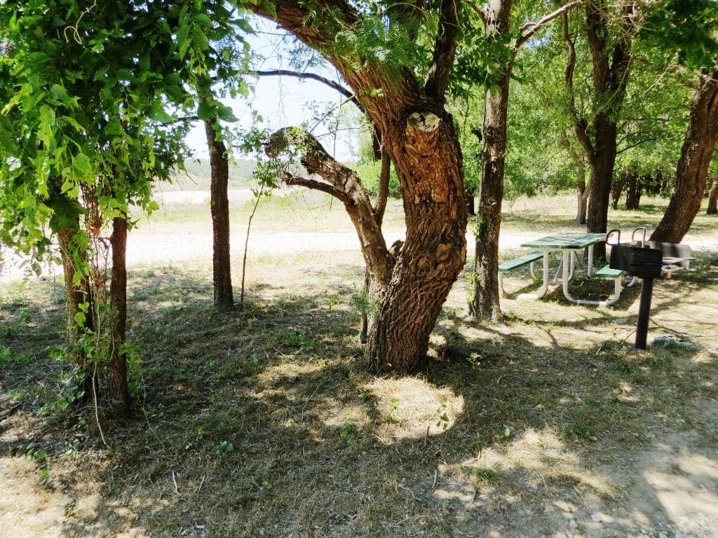 Lakefront Campsites