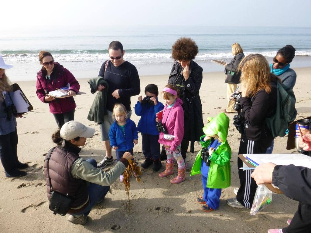 Beach Equipment Rentals