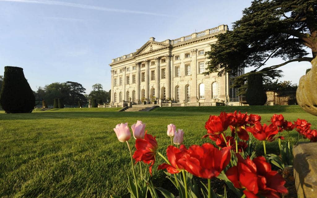 Wedding & Event Ambiance