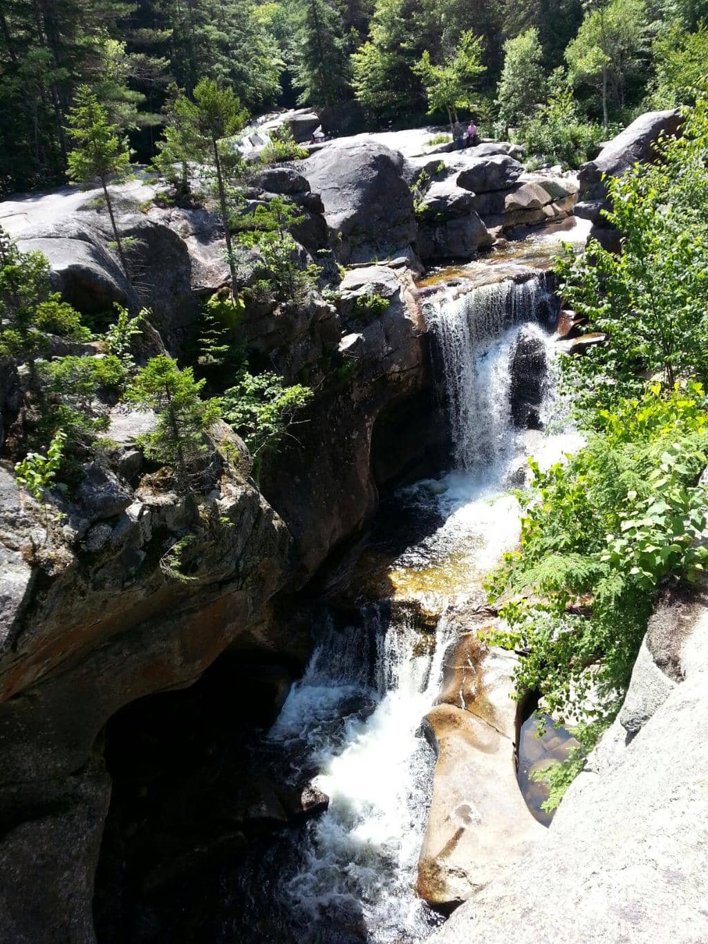 Vertical photo