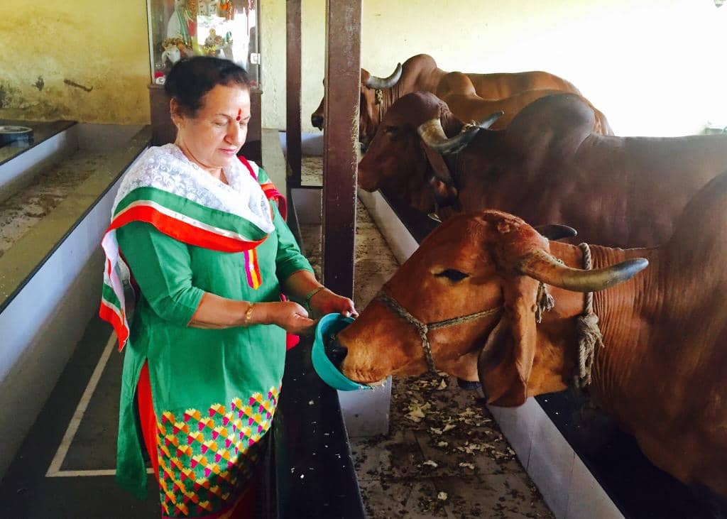 Serene Aravalli Hills Setting