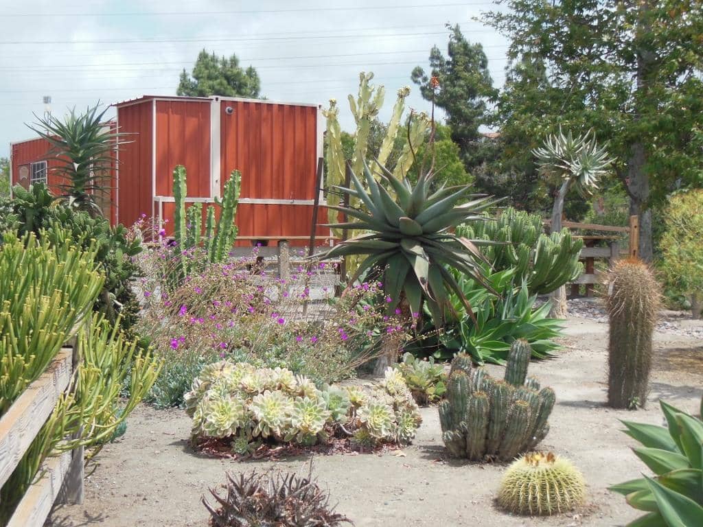 Shaded Canyon Trails
