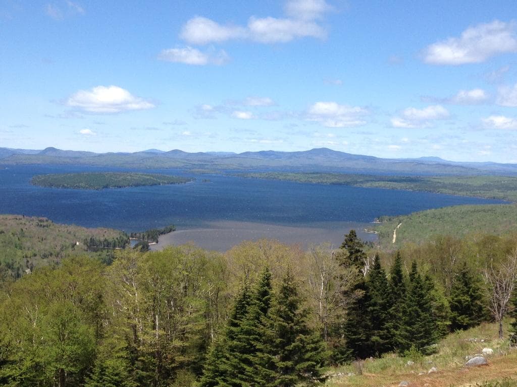 What a view