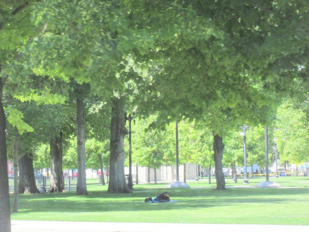 Vertical photo