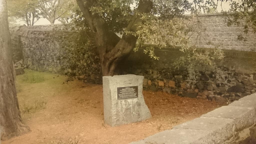 Sargeant Samuel MacDonald's grave.