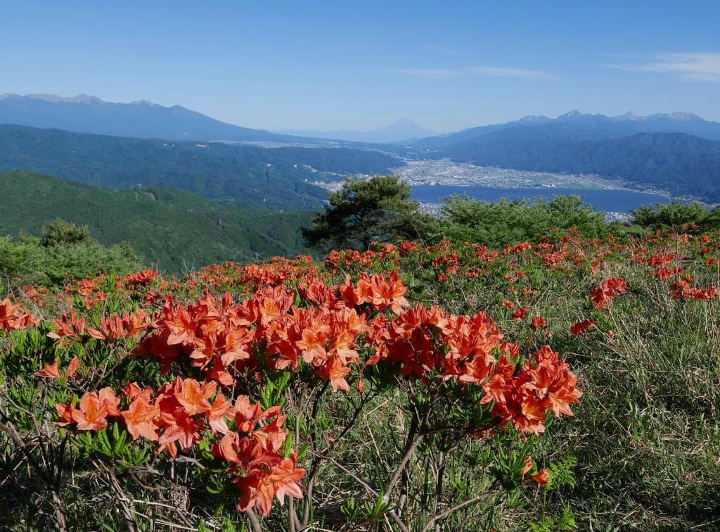 富士山、諏訪湖