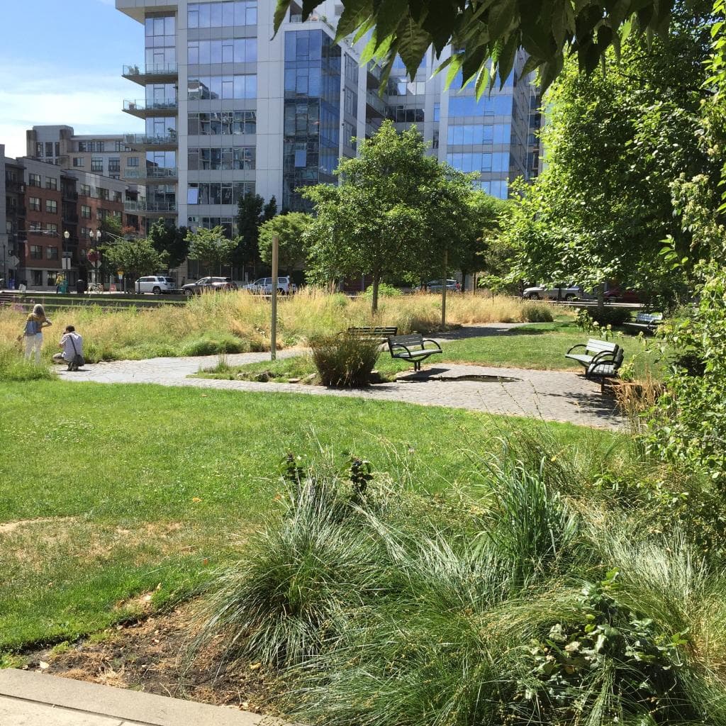 Tanner Springs Park