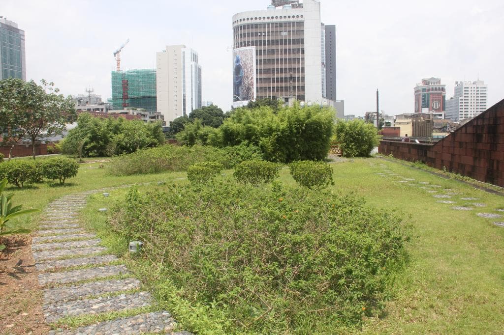 Nanyue Kingdom Palace Museum