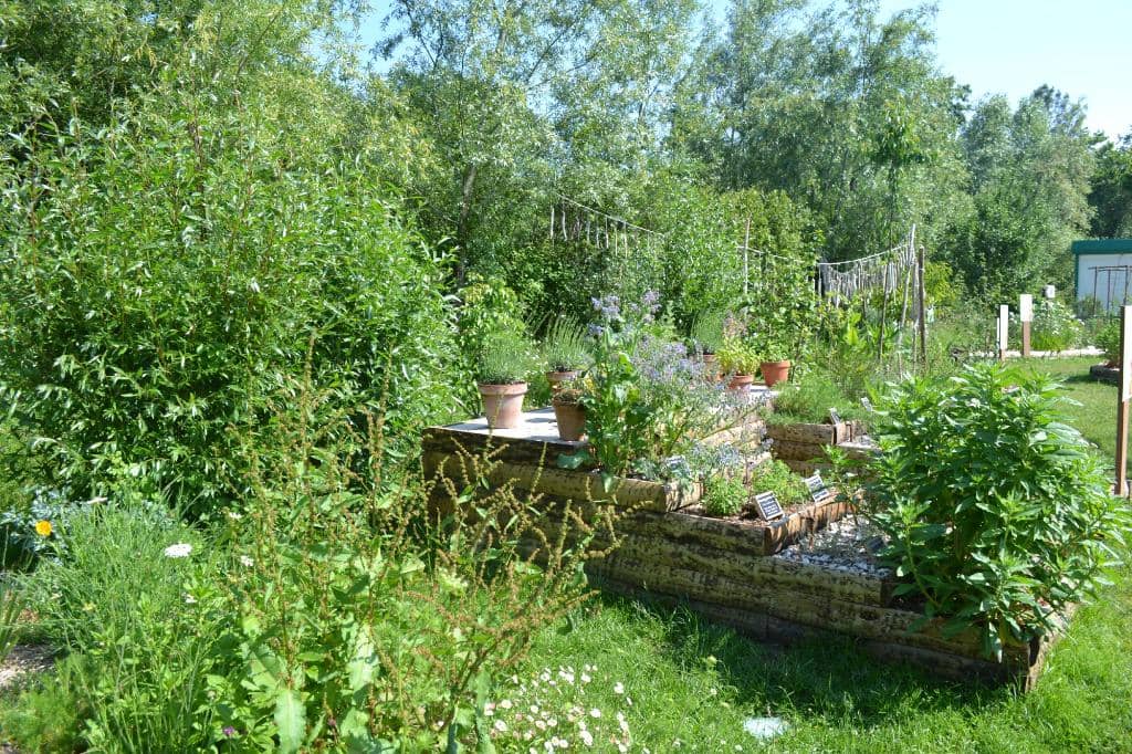 Exotic Greenhouses