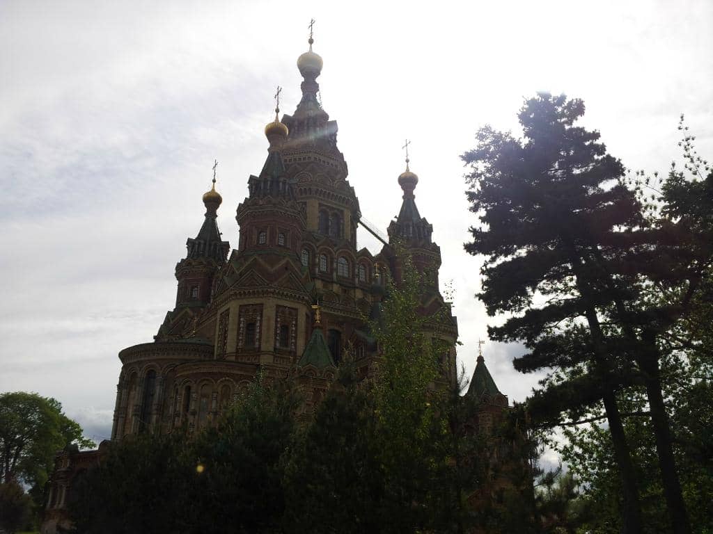 Vertical photo