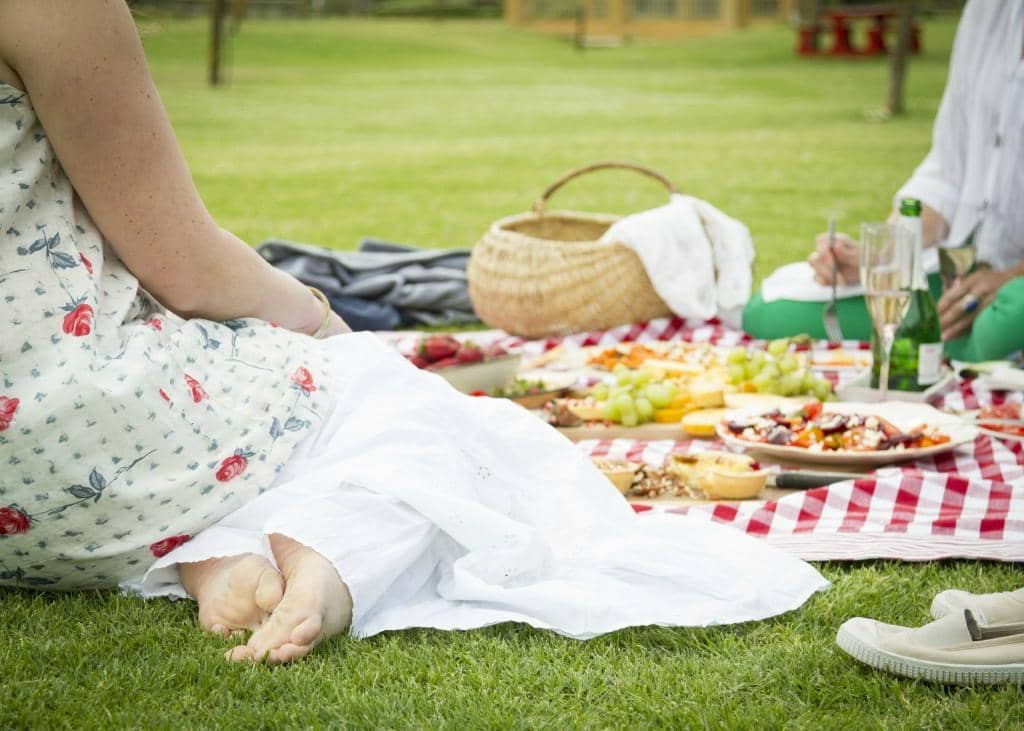 Scenic Farmstead Picnics