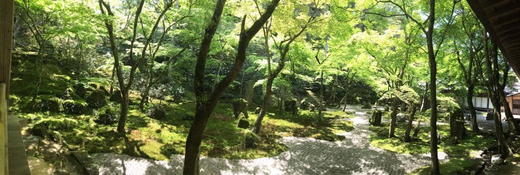 Moss and Maple Garden