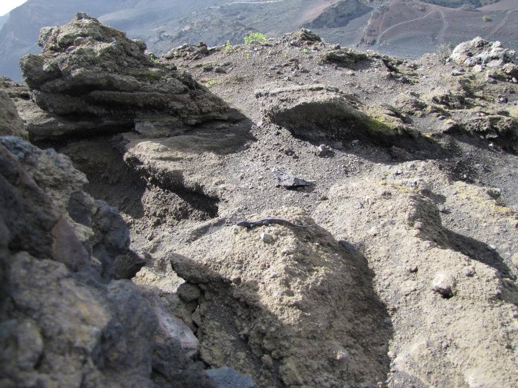 Visitor Center Exhibition