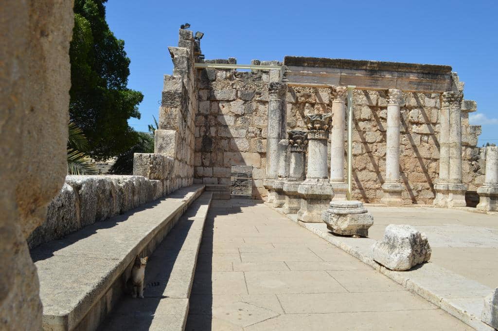 Sea of Galilee Shoreline