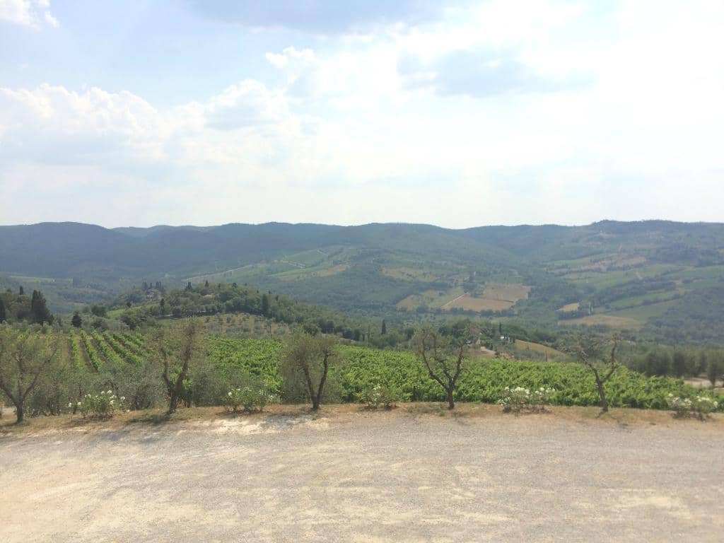 Vigna del Sorbo Gran Selezione