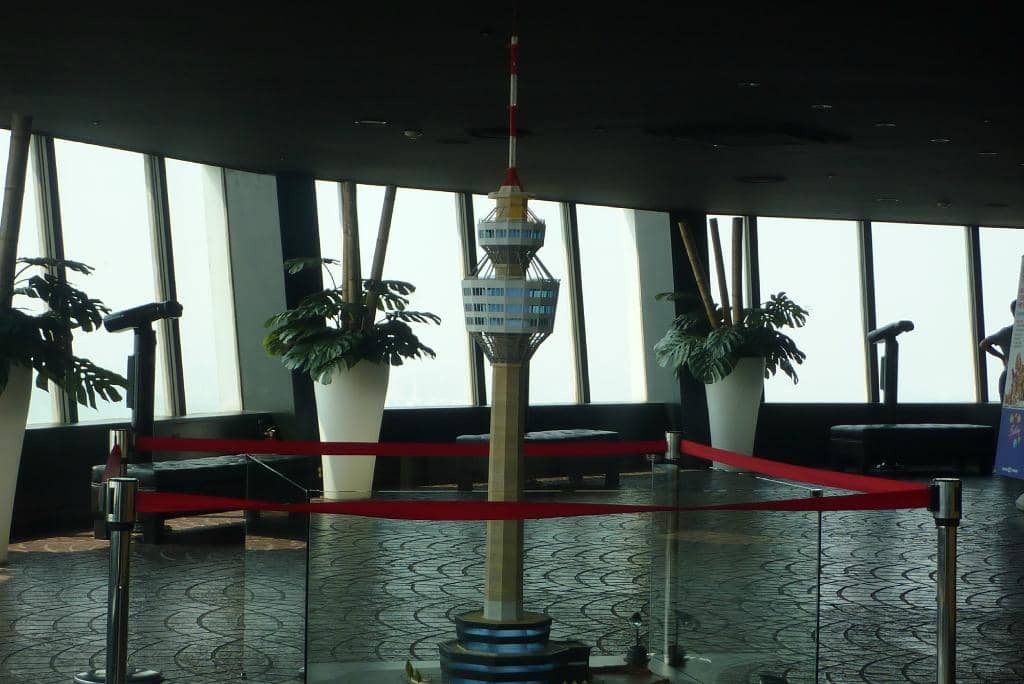 Cherry Blossom Spectacle