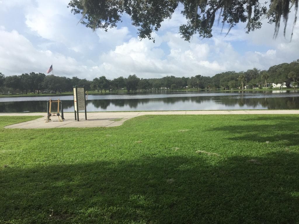Play area and some shade. Lots of ants, so watch your step.