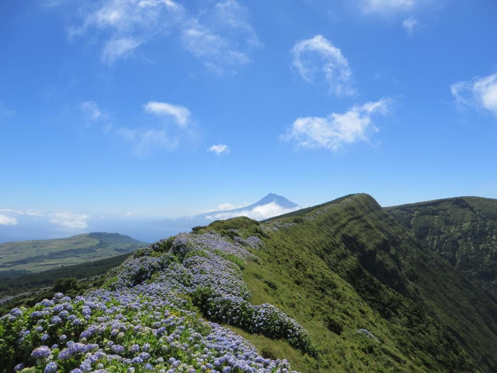 Le bord de la caldeira et le Pico