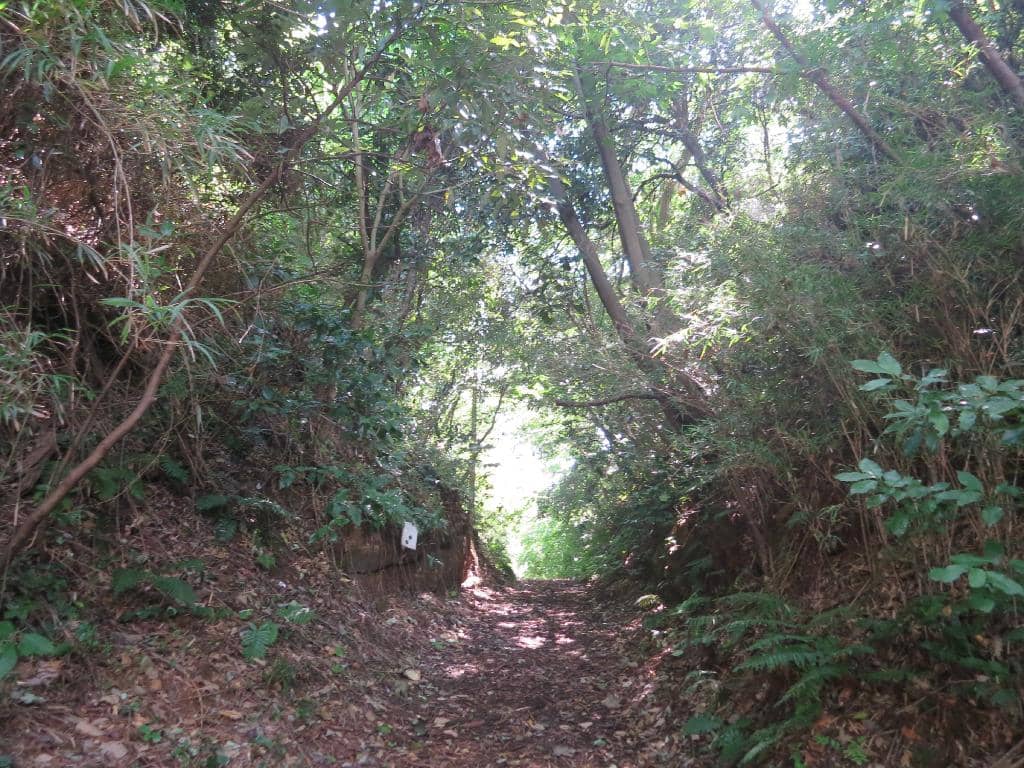 Coastal Preserve Ecosystem