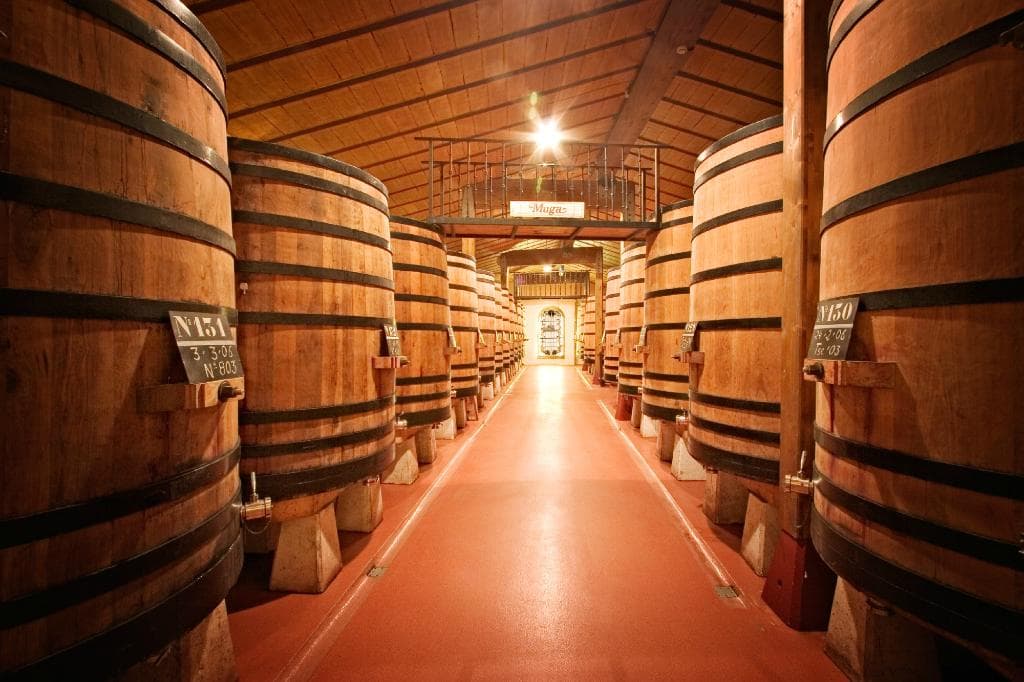 Bodegas Muga - Nave de tinos