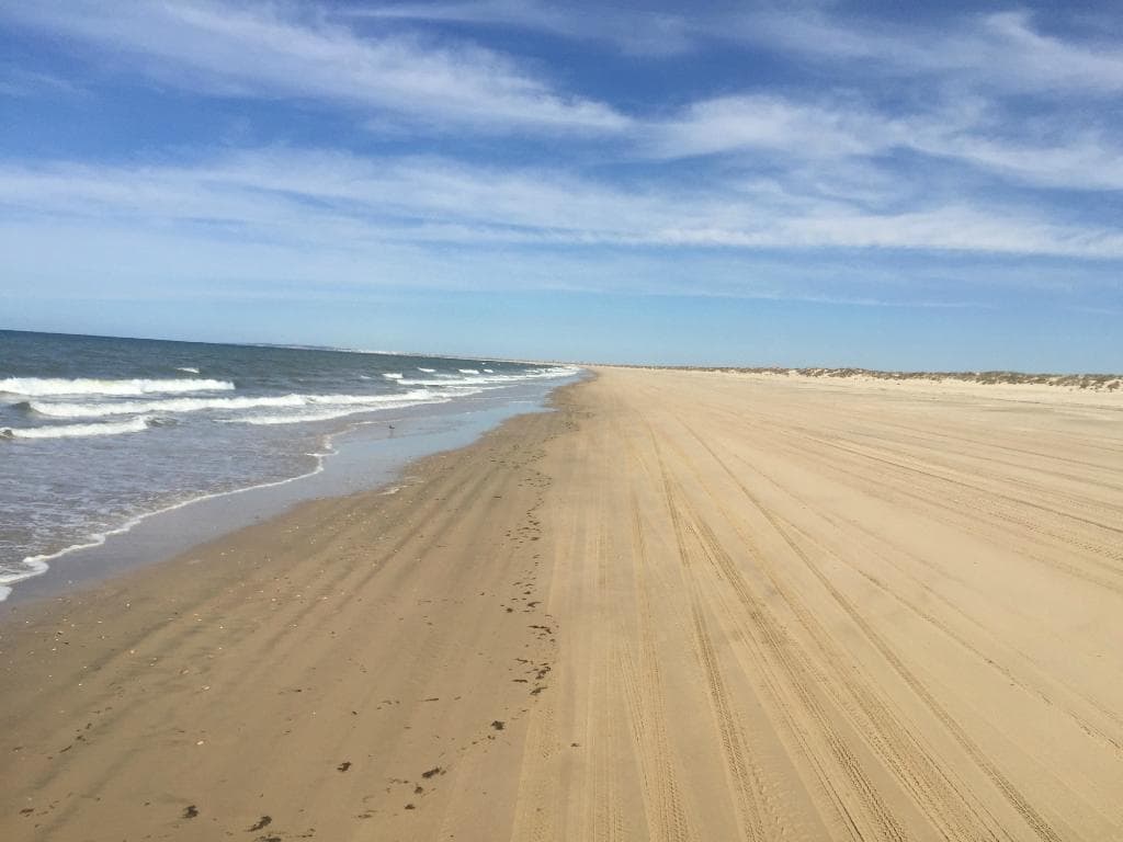 playa doñana