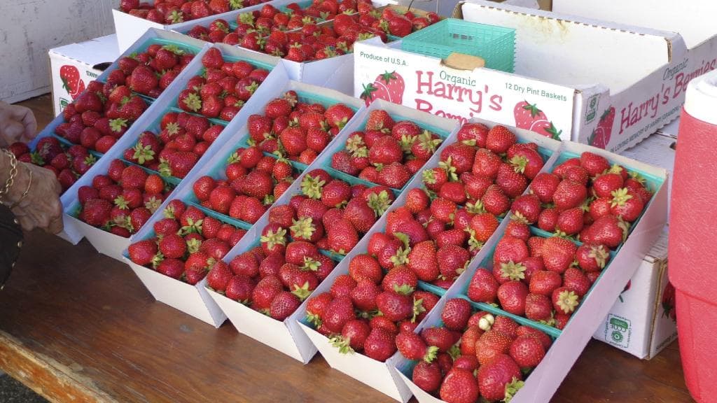 Oh such fresh fruit