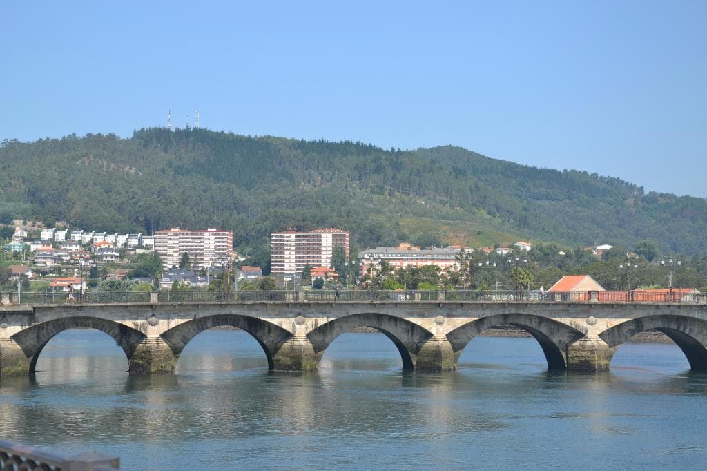 PUENTE DEL BURGO (DETALLE)