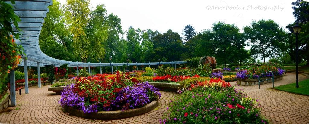 panorama of the centre of the garden