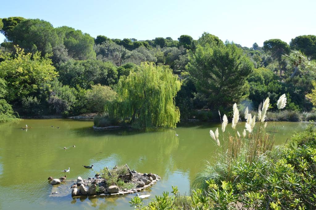 Children's Play Areas