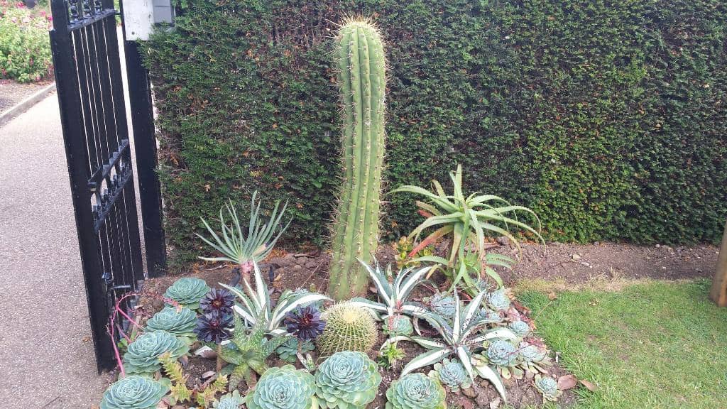 Sculpture Tours & Art Festivals