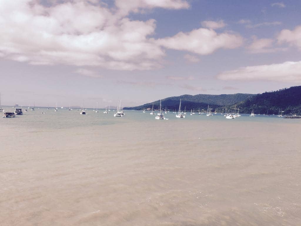 Honeyeater Lookout Point