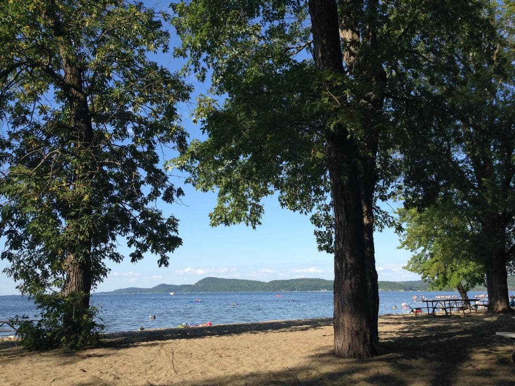water view from a picnic table