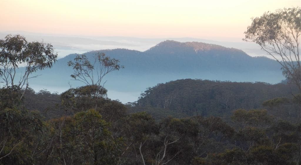 Morning mist view from the dining room verandah