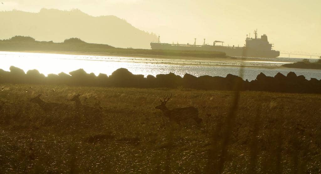 Columbia River Mouth