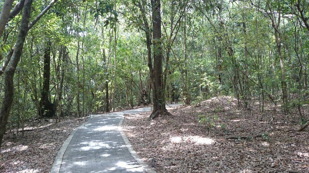 Ancient Buddhist Ruins