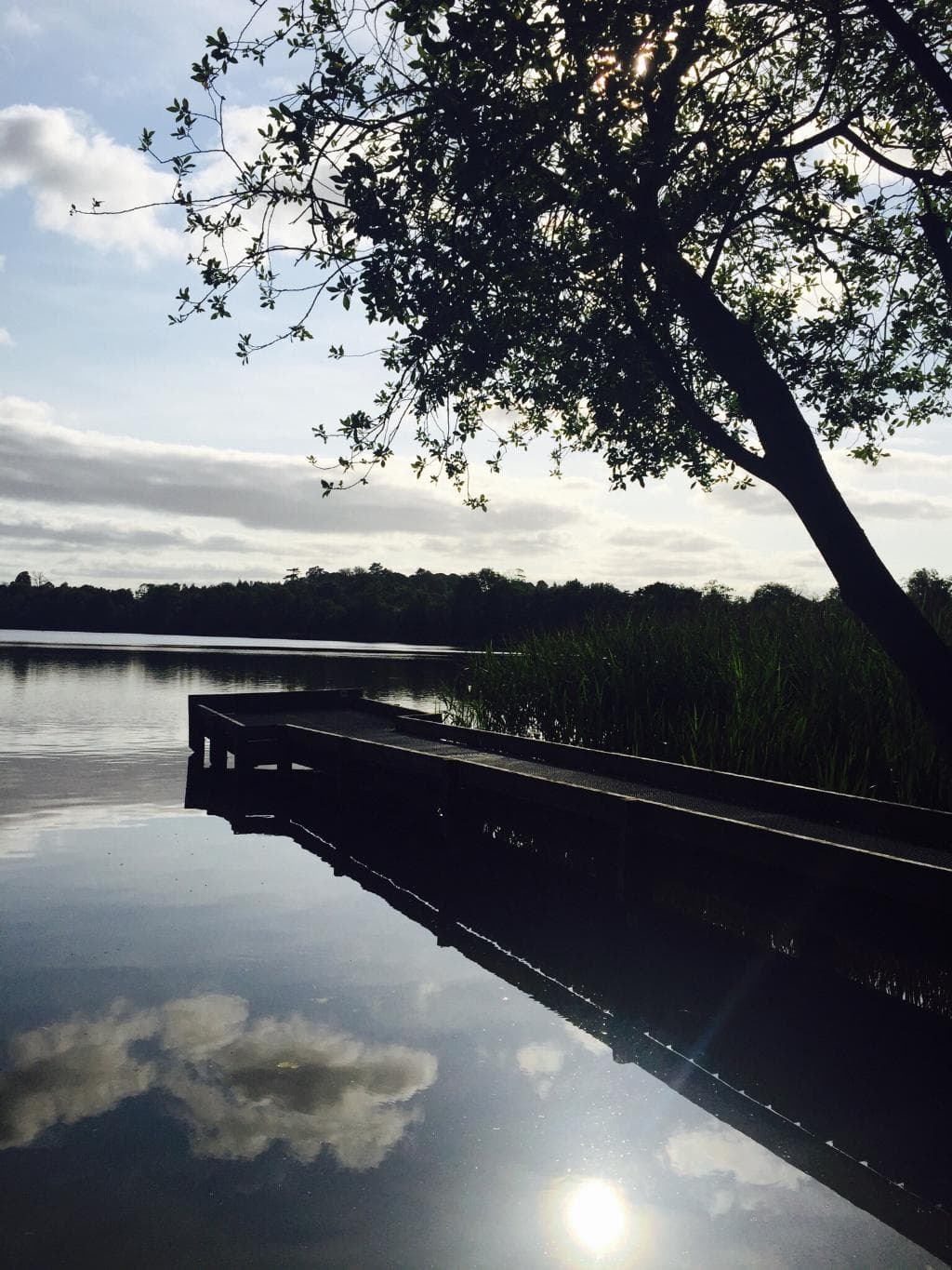 Beautiful Surroundings