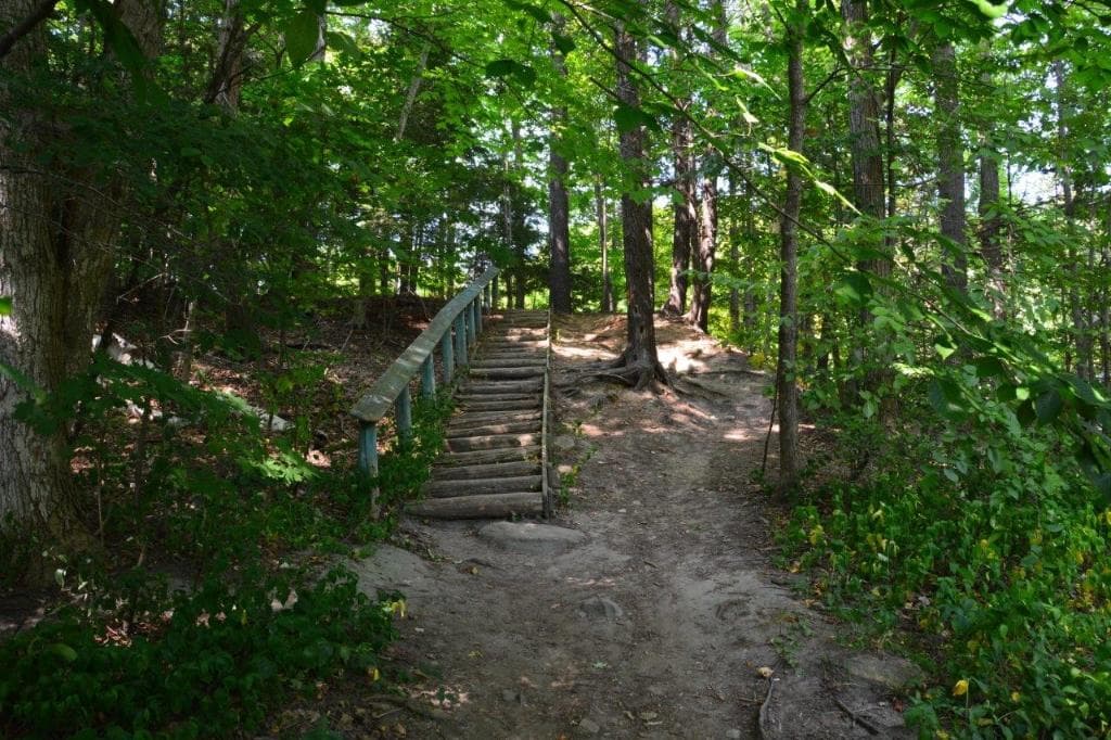 Wonderful parks of Toronto