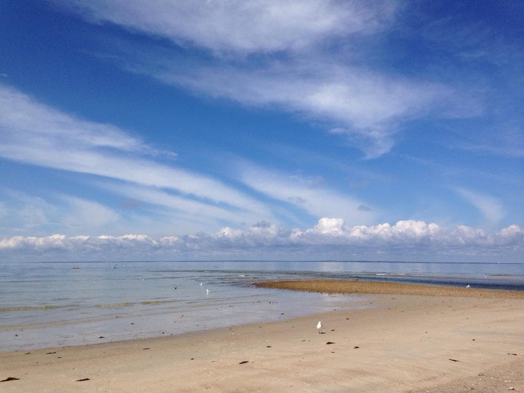 Wood Neck Beach