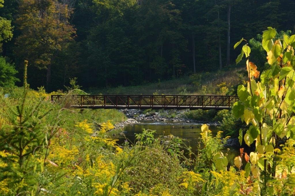 Lower Don River Trail