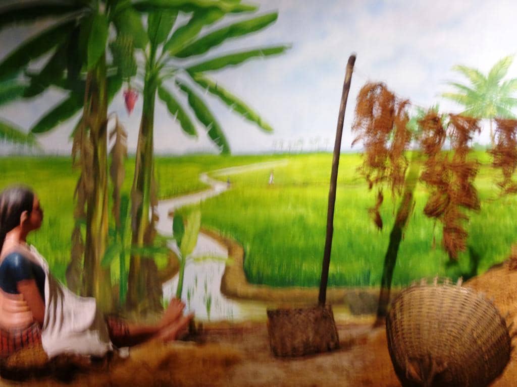 Historical Photographs