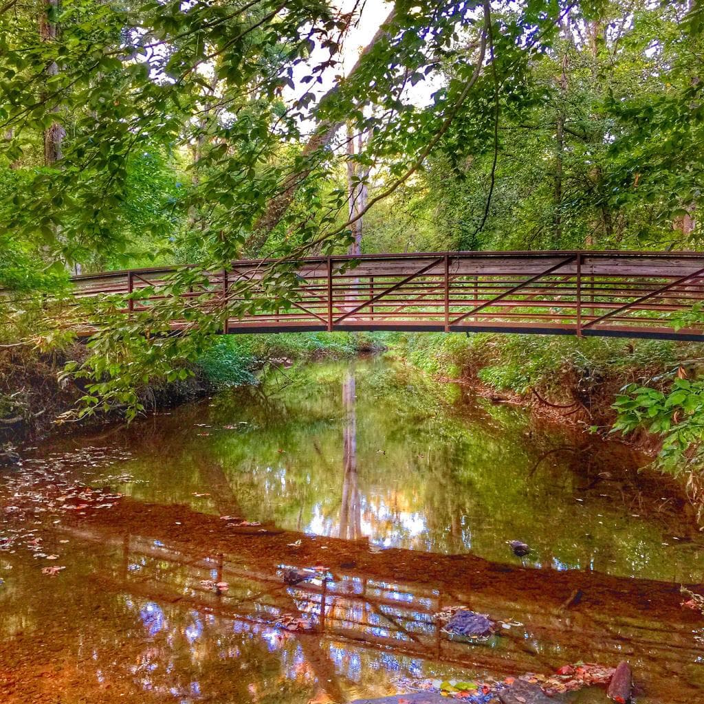 Around the Walney parklands.