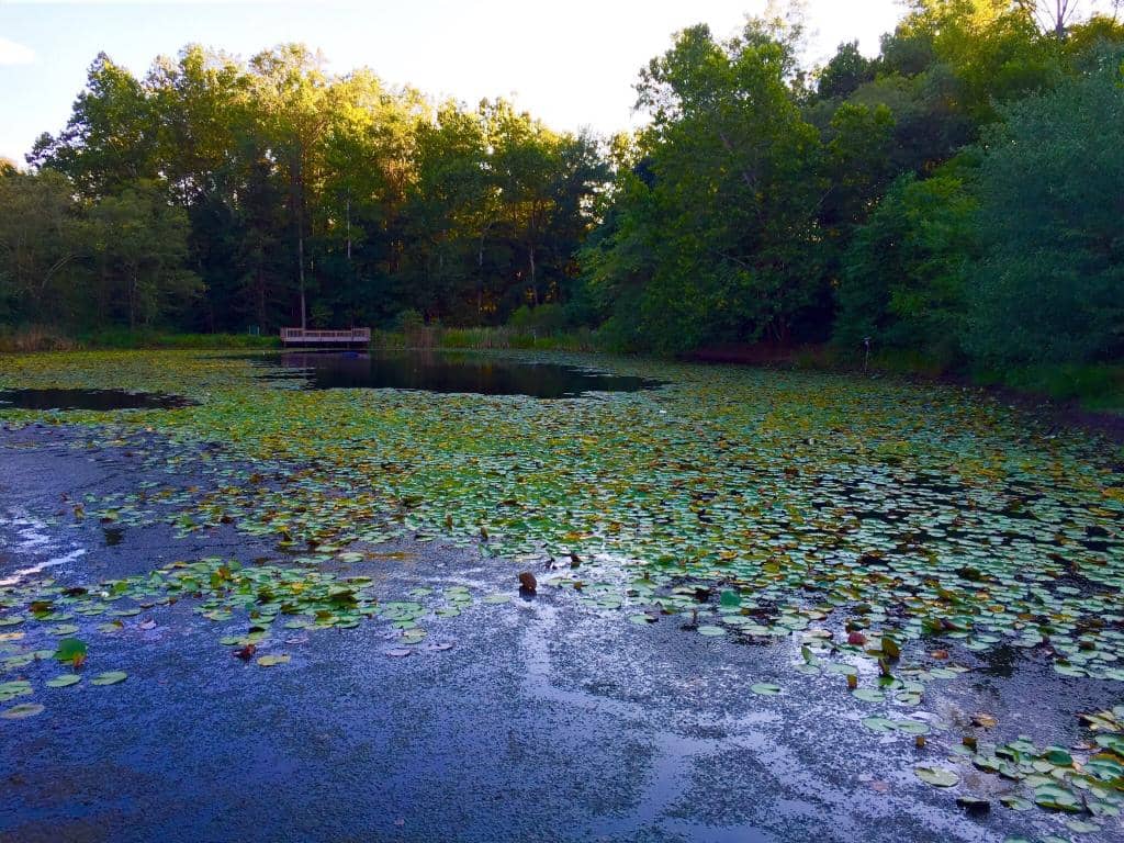 Fantastic Walking Trails