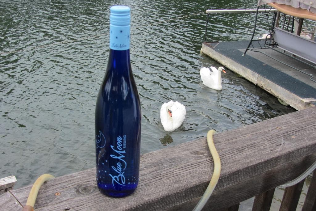 Tasting room balcony with swans looking for handout