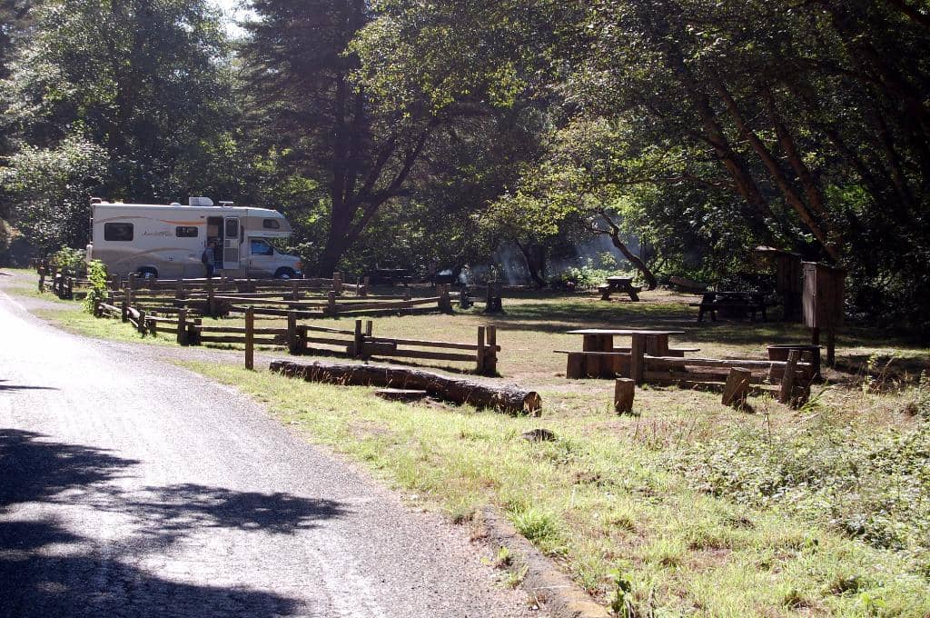 Fern Canyon Scenic Trail