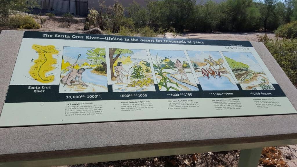 Roadrunner Encounters