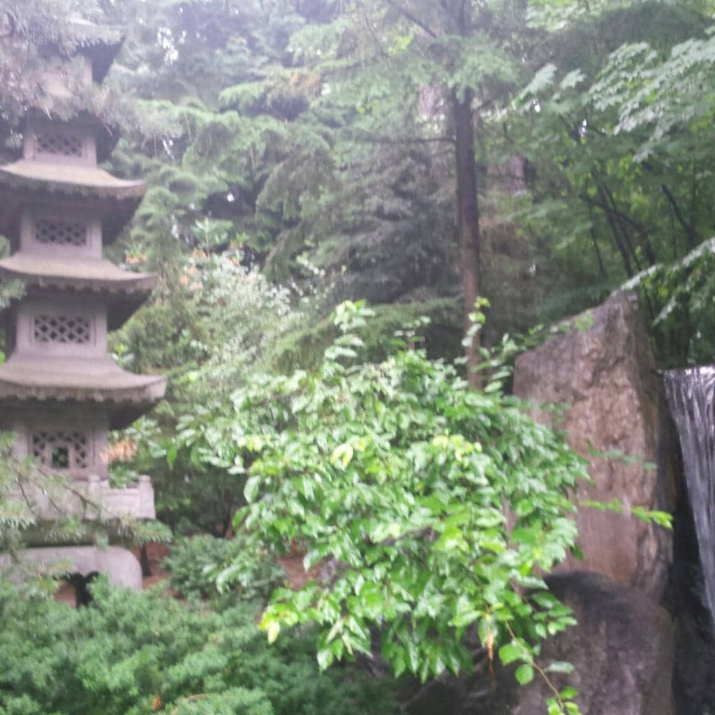 Vertical photo