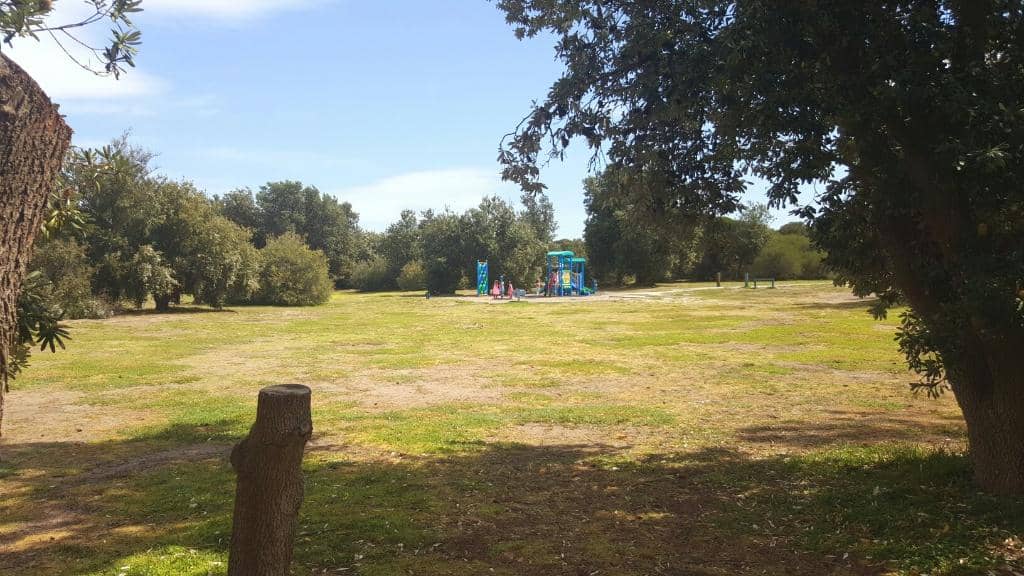 Birdwatching Hotspots