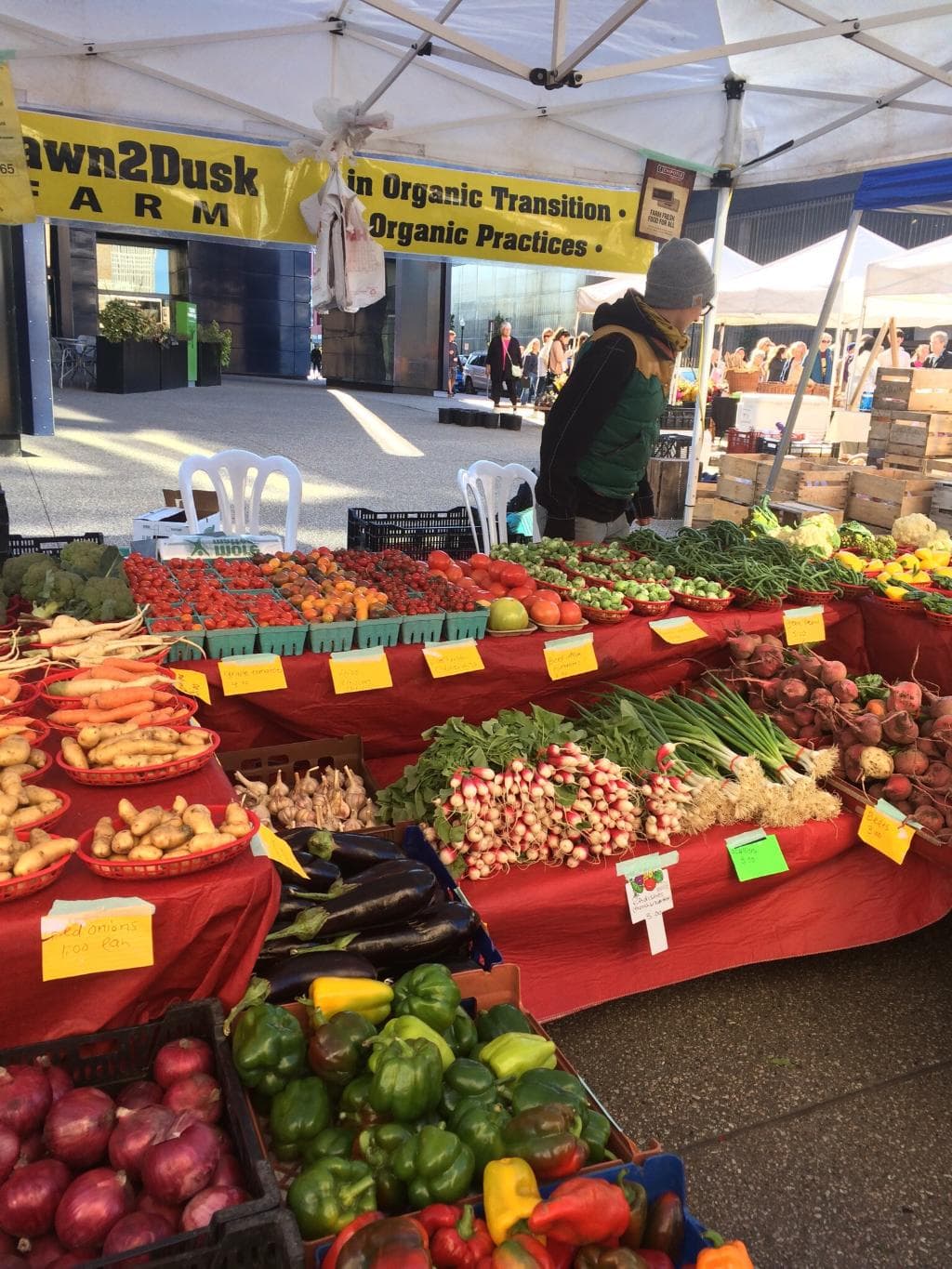 Great Saturday morning fun!